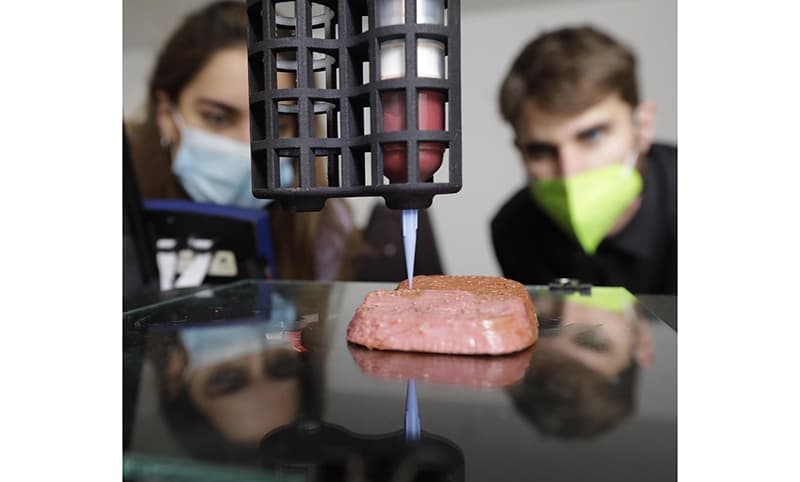 3D Meat Printing