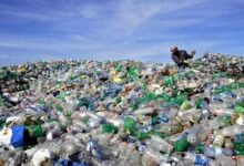 Plastic Bottles Landfills
