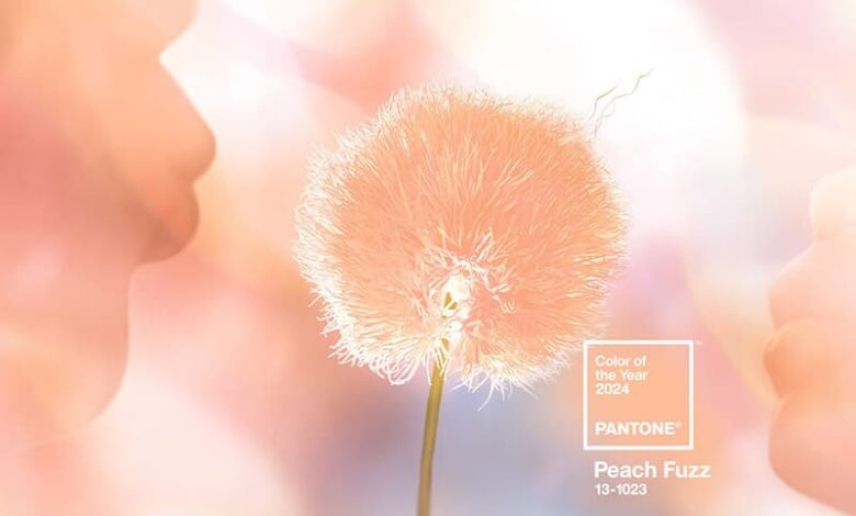 pantone-peach-fuzz-2024