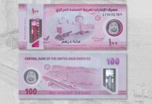 Central Bank UAE 100 Dhs Note