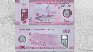 Central Bank UAE 100 Dhs Note