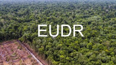 EU-deforestation-regulation