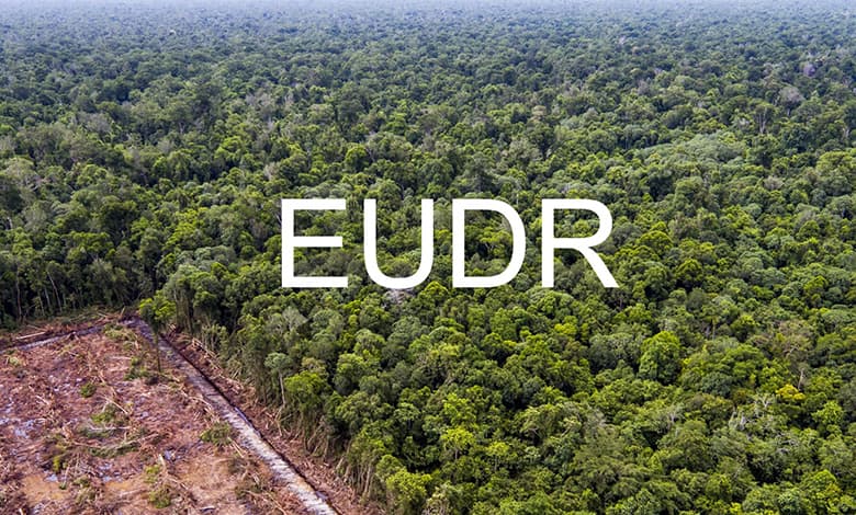 EU-deforestation-regulation