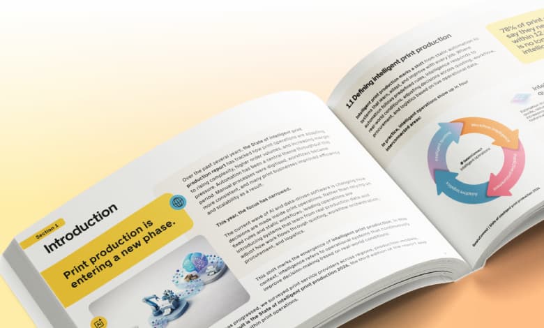 Section 2 - State of inteligent print production