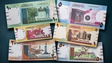 Sudan Currencies